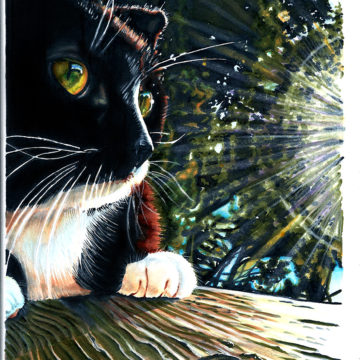 bellacat