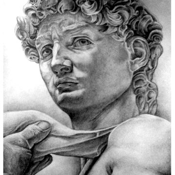 david